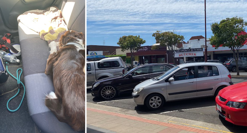 Left, the brown and white dog was found in a hot car lying down in the shade. Right, the car parked in direct sunlight in Portland, Victoria. 