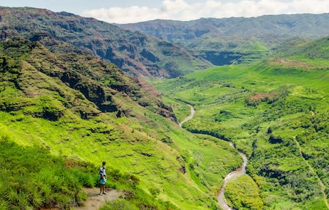 Waimea Canyon State Park - Credit: Getty