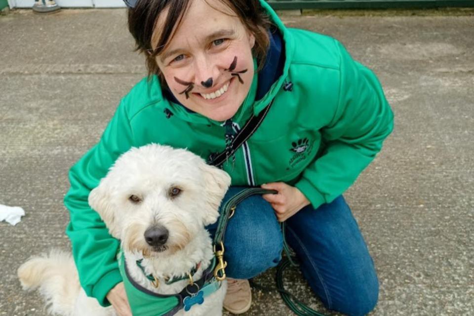 Isle of Wight County Press: One of the entries in the dog show.