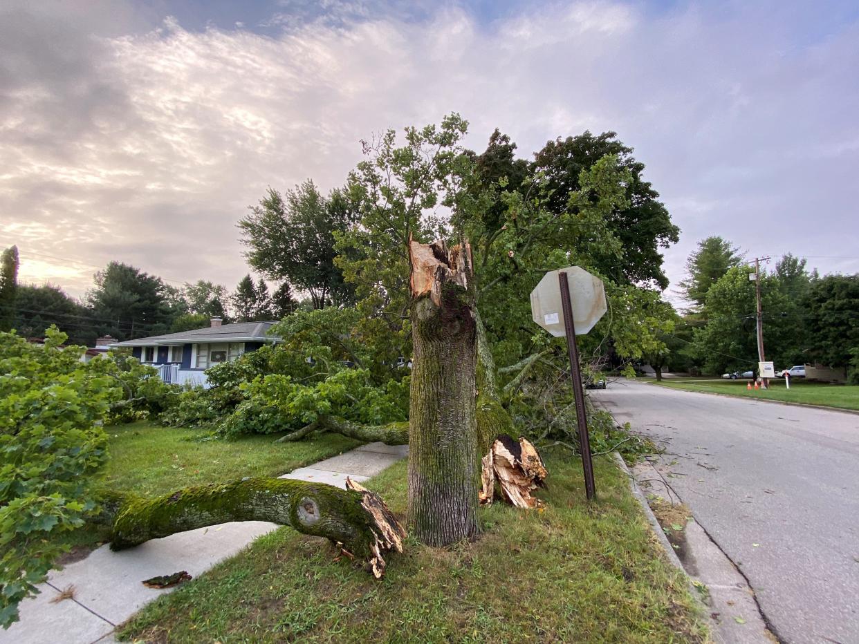 Lynn Sherwood lives in the 1100 block of Hillview Drive in Haslett and said the storm came through and tore down a large tree that had been marked for removal - because of an infestation - years ago.