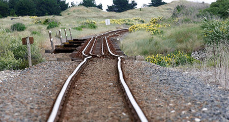 A railway line is damaged by an earthquake, near Tirohanga stream south of Blenheim on the South Island of New Zealand, November 14, 2016. REUTERS/Anthony Phelps