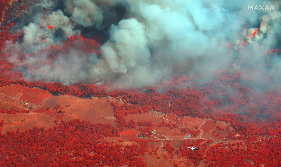 Caldor wildfire (via REUTERS)