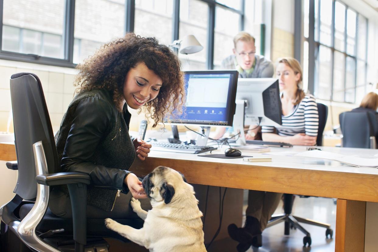 dog interacting at work place