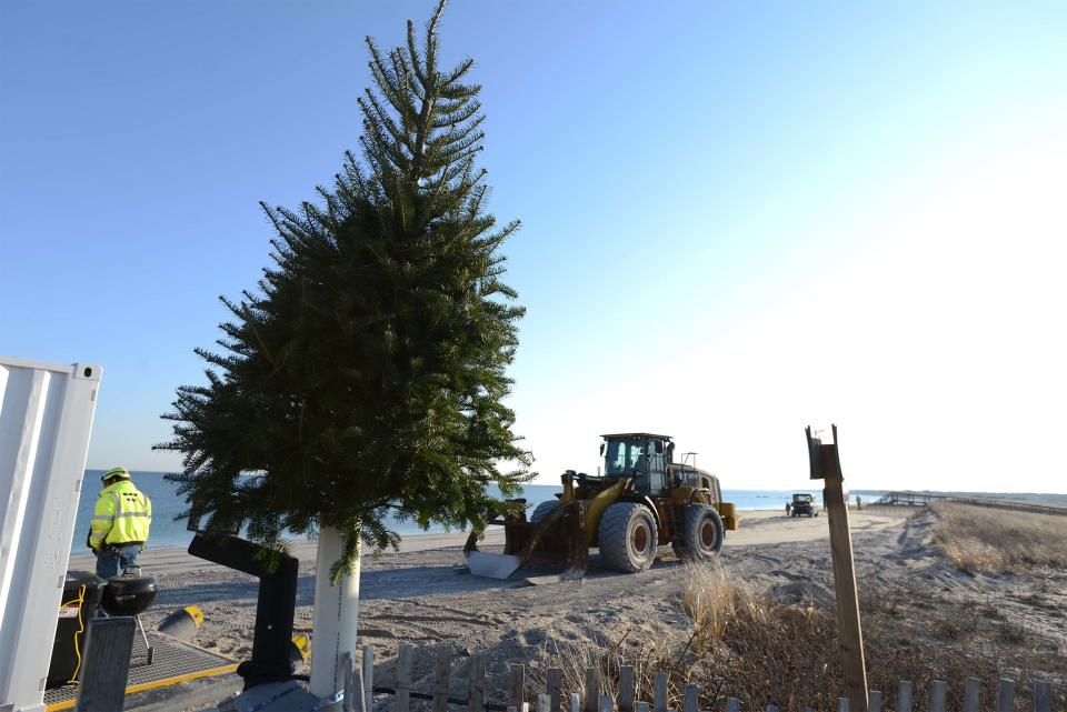 Despite the dune restoration project and the boardwalk construction at Town Neck Beach in Sandwich, the annual Christmas tree still finds a spot at the busy beach on Wednesday as construction crews work around it.