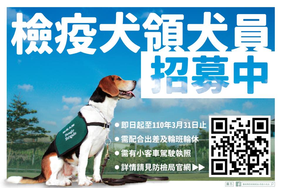 動植物防疫檢疫局公開召募檢疫犬領犬員，只要大專院校以上學歷，有汽車駕照、懂英文，歡迎報名。   圖：翻攝自防檢局臉書