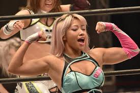 Hana Kimura, Netflix star and pro wrestler, dies at 22