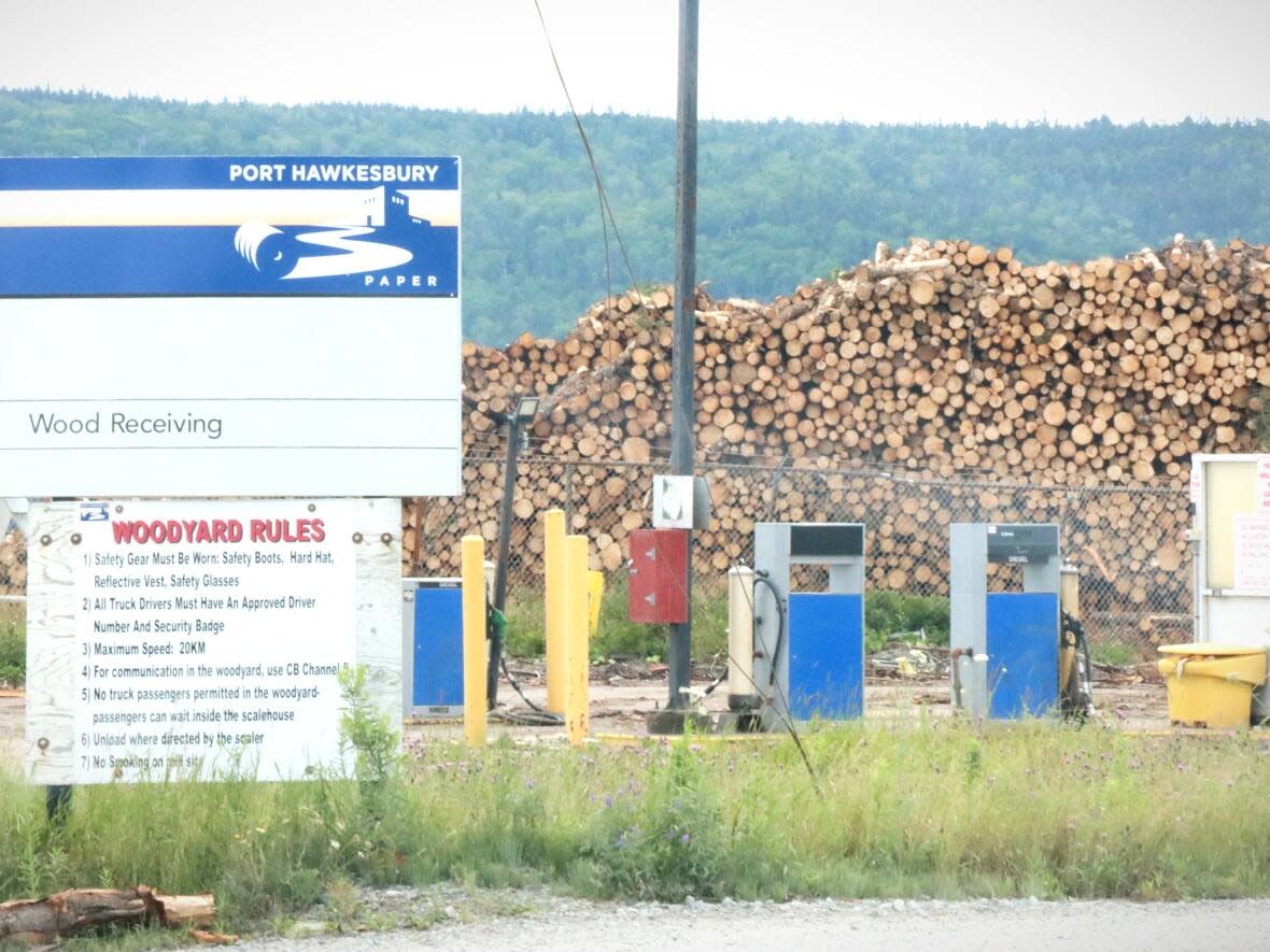 The Nova Scotia government has renewed two agreements with Port Hawkesbury Paper that will see less timber cut on Crown lands as recommended in the 2018 Lahey Report on forestry. (Tom Ayers/CBC - image credit)