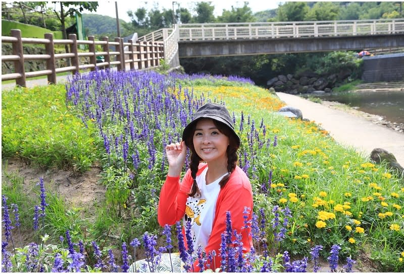 新北｜萬里高家繡球花季