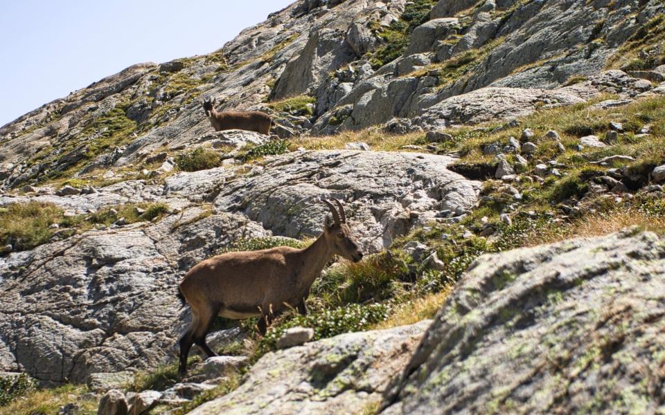 Mercantour national park, France