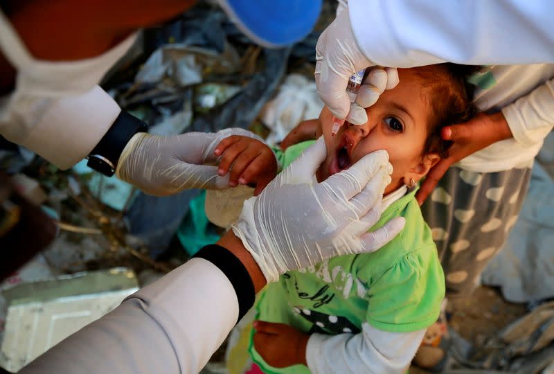 Girl receives a polio vaccine during a three-day immunization campaign in Sanaa