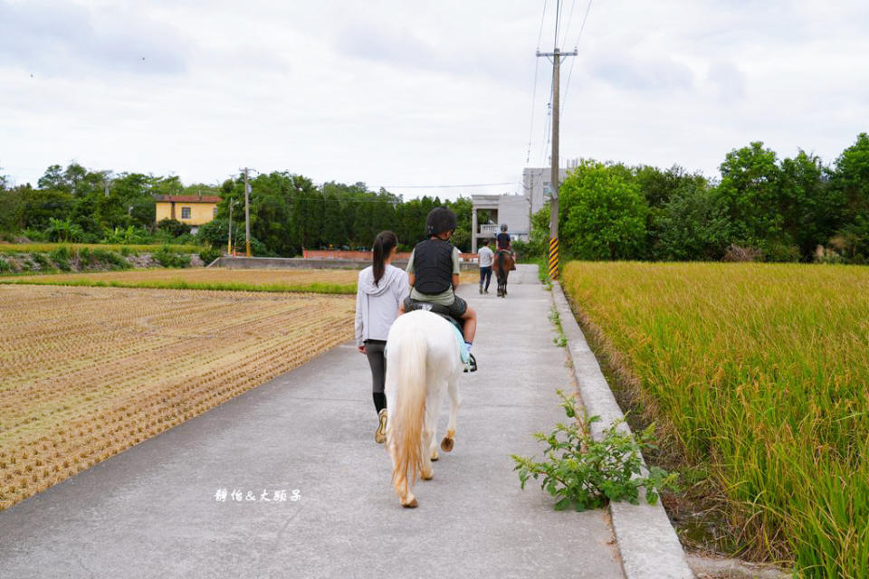 新竹尼普頓馬術創藝園區