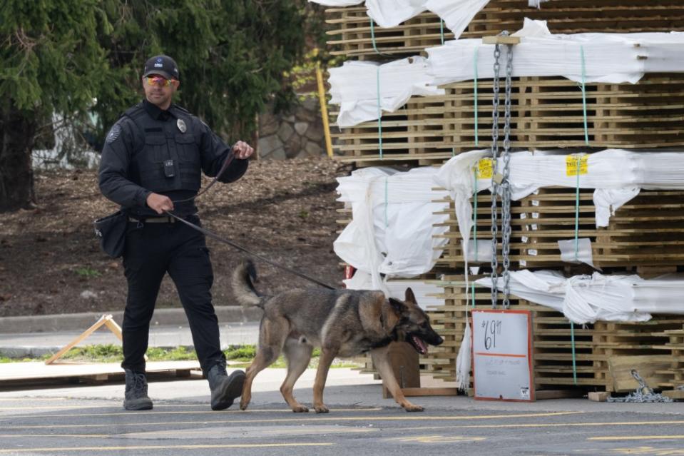 A man wearing an MSA Security caps and a bulletproof vest had a German shepherd in tow, guarding the Home Depot in New Rochelle on Tuesday.