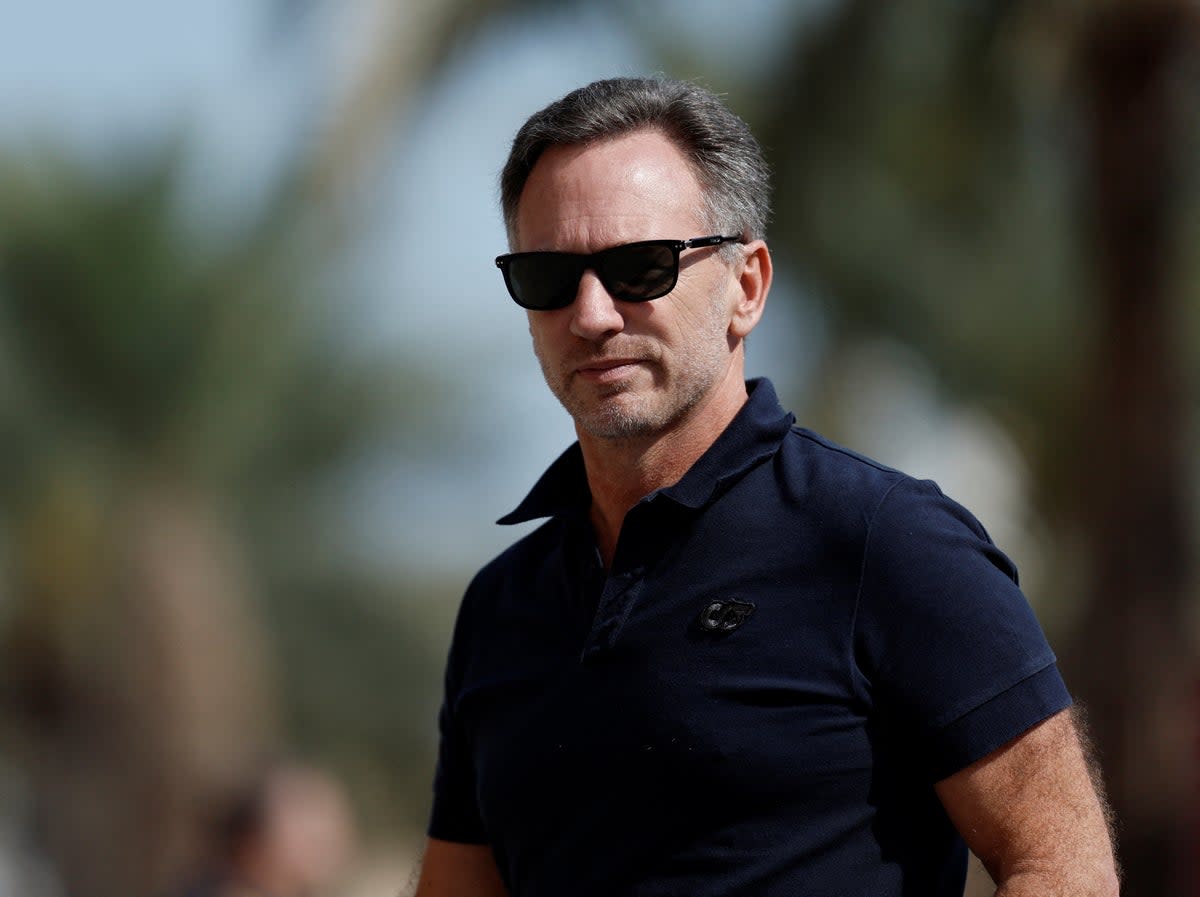 Christian Horner was cleared by an independent lawyer  (Reuters)