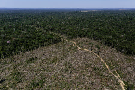 FILE PHOTO: An aerial view shows deforested land during "Operation Green Wave" conducted by agents of the Brazilian Institute for the Environment and Renewable Natural Resources, or Ibama, to combat illegal logging in Apui, in the southern region of the state of Amazonas, Brazil, July 27, 2017. REUTERS/Bruno Kelly/File Photo