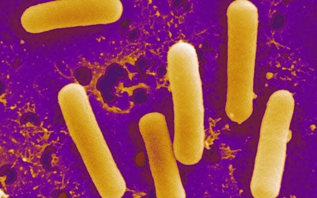 Soaring antibiotic resistance fuels steep rise in use of 'last hope' drugs