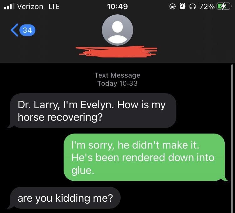 Text message exchange. Evelyn asks Dr. Larry about her horse's recovery. Larry responds that the horse didn't make it and was rendered into glue. Evelyn is shocked