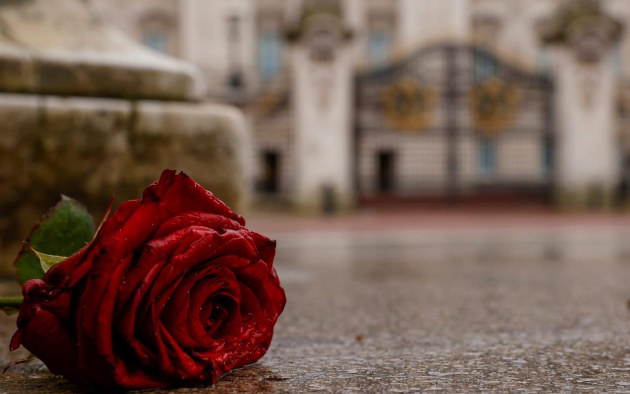 A red rose lies on the ground in front of Buckingham Palace as reaction continues after Prince Harry and Meghan Markle's interview with Oprah Winfrey in London - JOHN SIBLEY /REUTERS