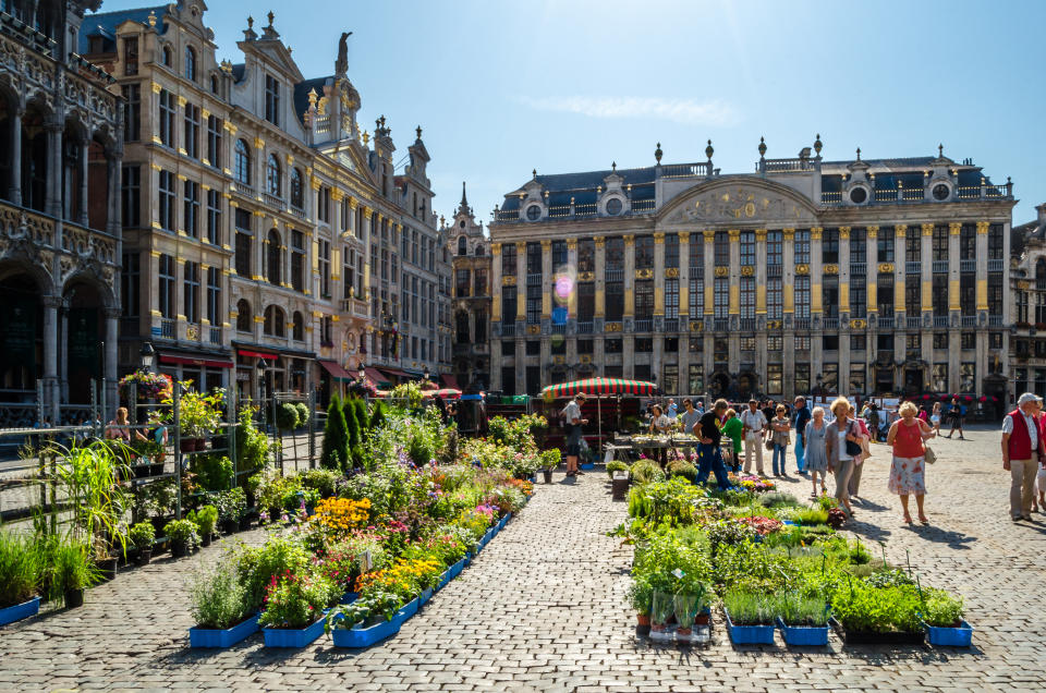 a flower market in front of the grand palace in brussels