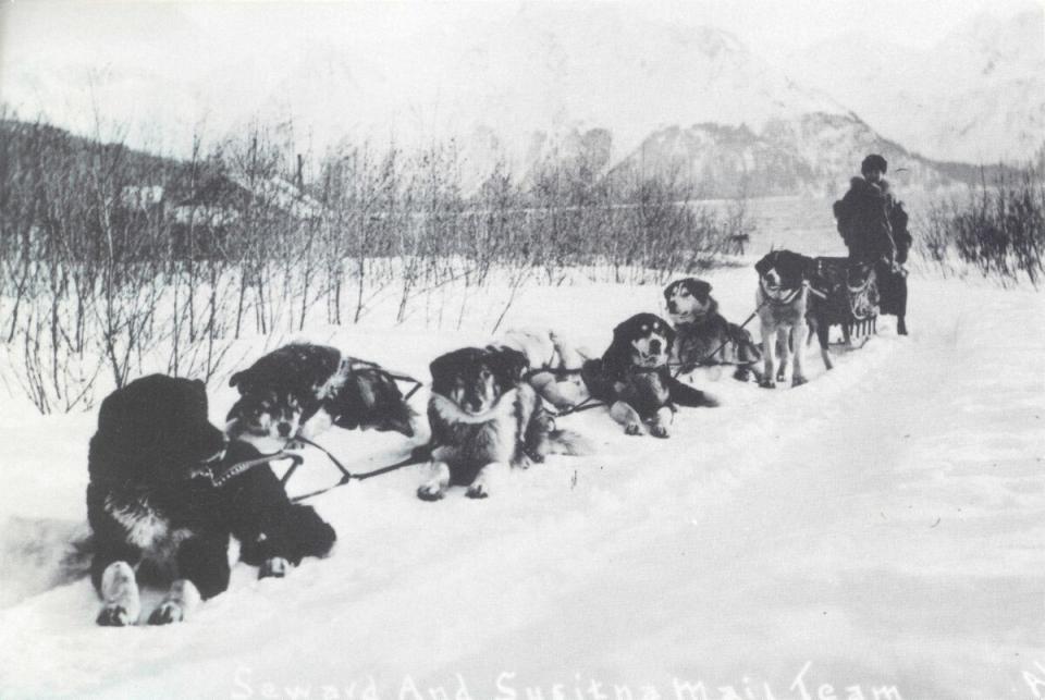 dog sled delivering mail in Alaska in 1913 vintage