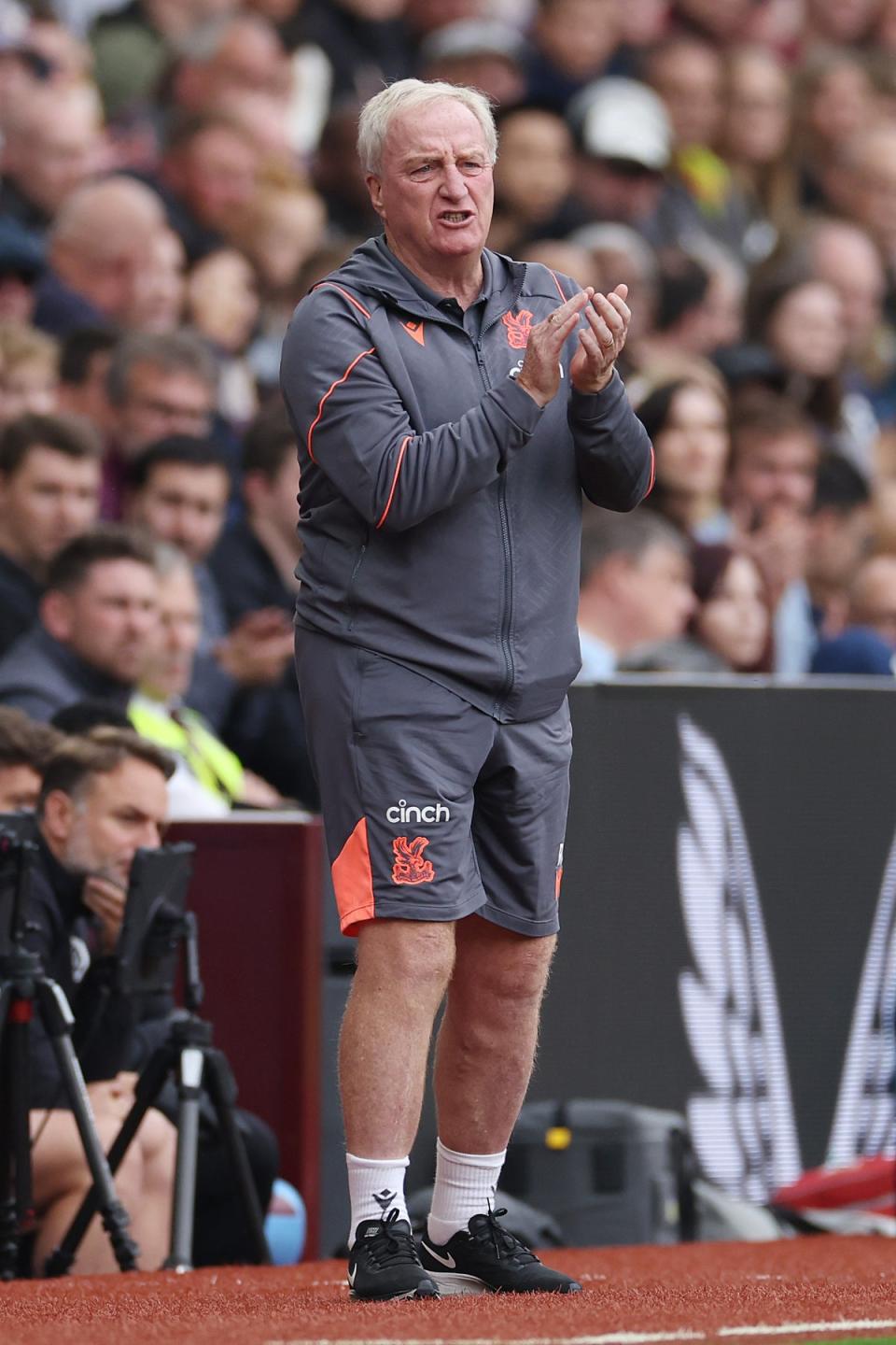 Departure: Ray Lewington was Roy Hodgson’s right-hand man at Crystal Palace (Getty Images)