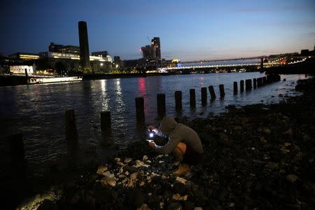 A mudlark uses a torch to look for items on the bank of the River Thames in London, Britain June 06, 2016. REUTERS/Neil Hall