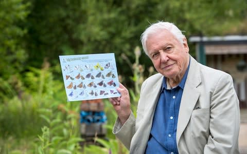 Sir David Attenborough is encouraging people to take part in the Big Butterfly Count - Credit: Helen Atkinson