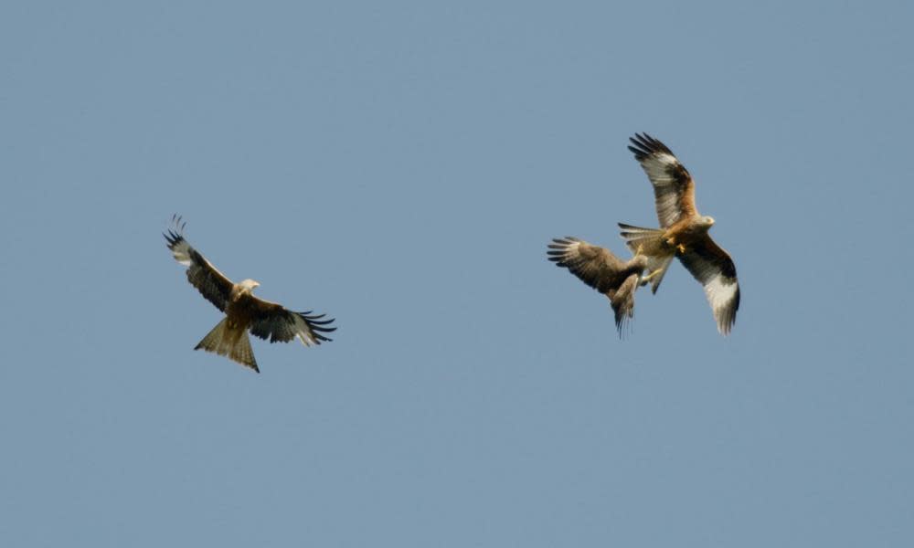 <span>Photograph: Keith Burdett/Alamy</span>