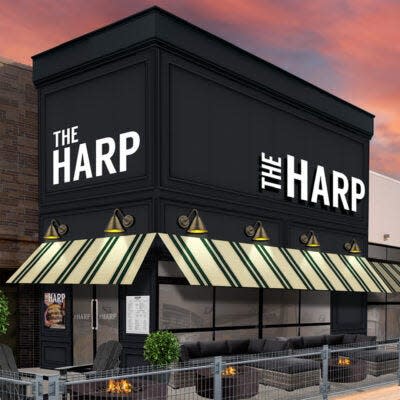 The Harp, a popular Boston bar, is expanding with a second location opening at Patriot Place later this year.
