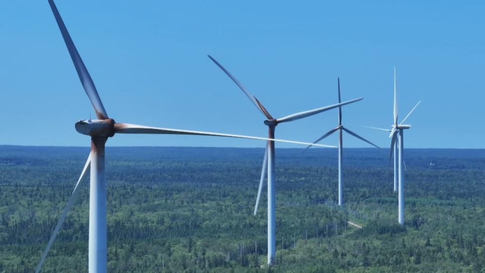 The tower for each turbine stands 92 metres tall. Each blade is just over 56 metres long.