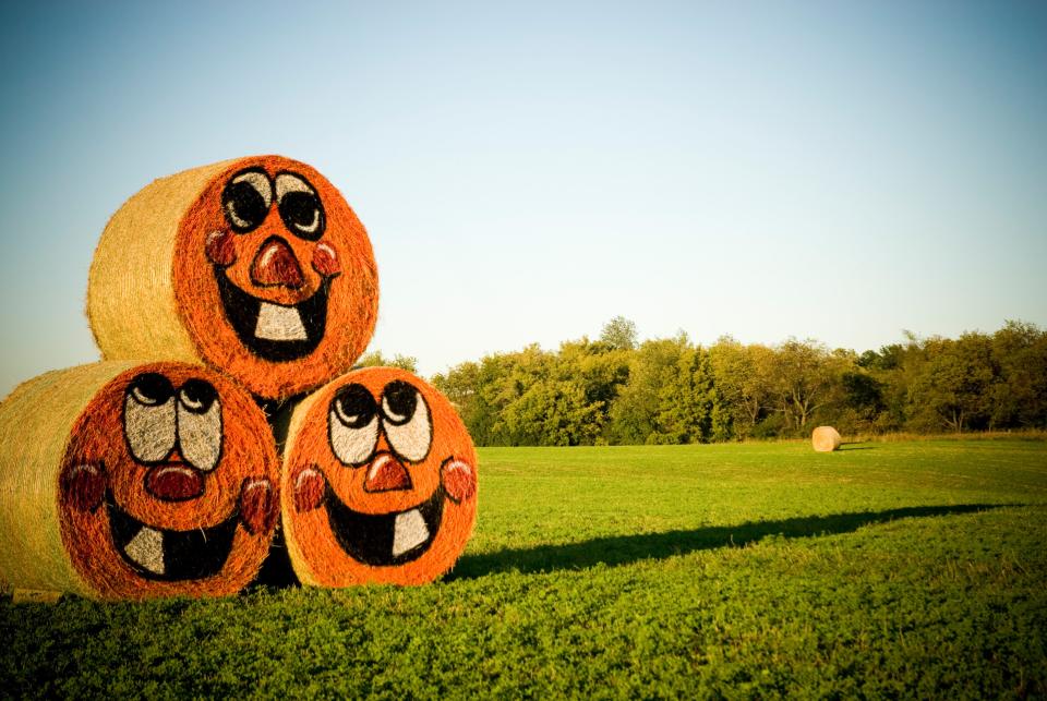 Hay bales are decorated like jack-o-lanterns at Schuett Farms in Mukwonago.