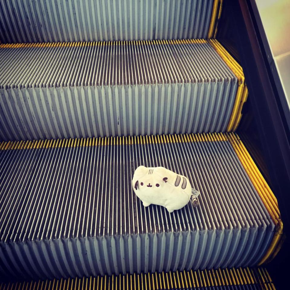 Even Pusheen gets on an escalator. Credit: O4Cute Facebook Page