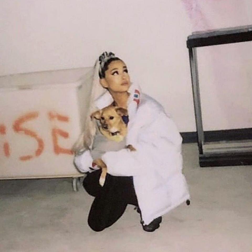 Another musician who travels the world with her canine entourage,Ariana Grande, totes pup Toulouse along backstage, to hotels and <a href="https://people.com/music/ariana-grande-all-consuming-grief-mac-miller-death/" rel="nofollow noopener" target="_blank" data-ylk="slk:even to Vogue shoots.;elm:context_link;itc:0;sec:content-canvas" class="link ">even to<em> Vogue </em>shoots.</a>