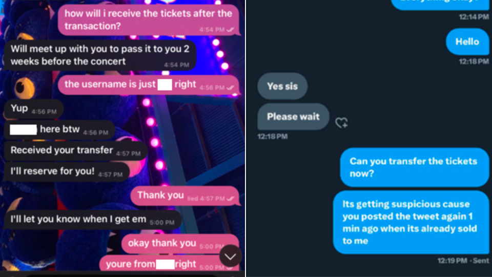 Example of conversations between scammer and victim.