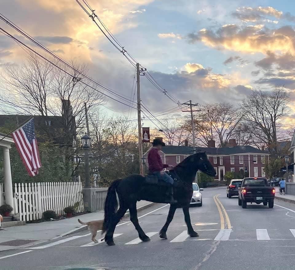 Gerry Scott, his Friesian horse, Hurcules and his yellow lab Molly visit Exeter last weekend to lift spirits as part of Scott's nonprofit work with Horses Over America.
