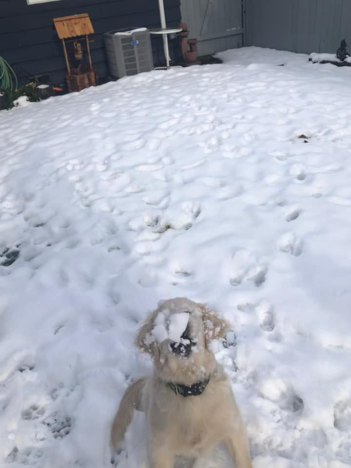 Wagner got a snowball in the face.