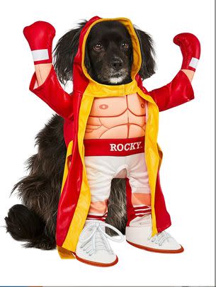 Doggy Rocky Balboa Costume