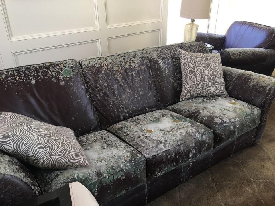 The author's couch after hurricane Harvey. (Photo: Maria Sotolongo)