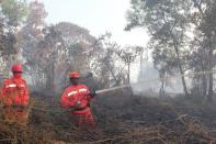 Indonesian firefighters from the Forest Ministry battle forest fires in Pekanbaru city, capital of Riau province, on Sumatra island, and about 320 km west of Singapore, on June 20, 2013. Indonesia on Friday dispatched helicopters to create artificial rain in a desperate bid to fight raging fires that have choked Singapore, as smog cloaking the city-state hit record-breaking levels