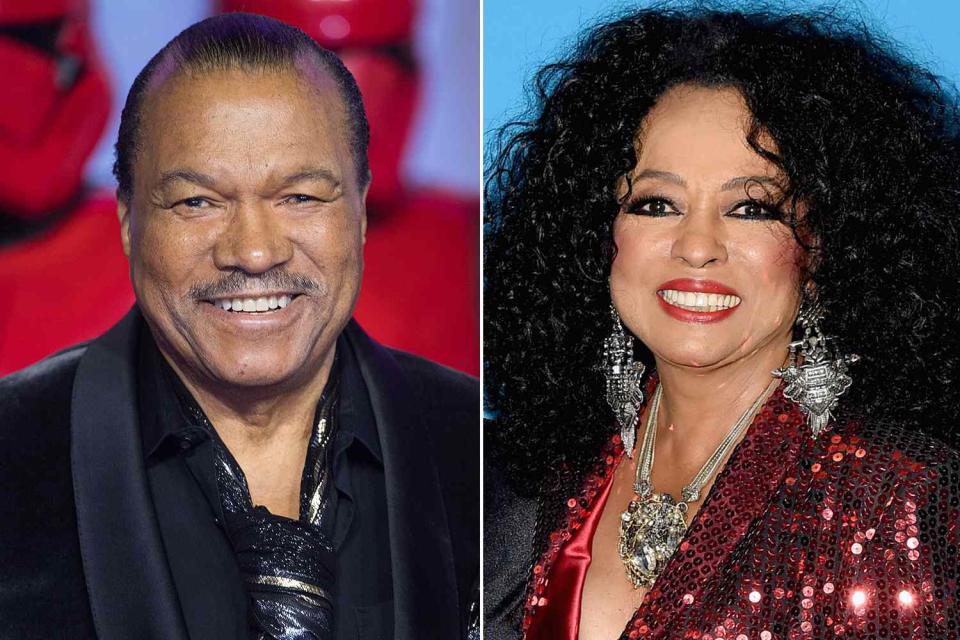 <p>Samir Hussein/WireImage; Nicholas Hunt/Getty</p> Billy Dee Williams and Diana Ross