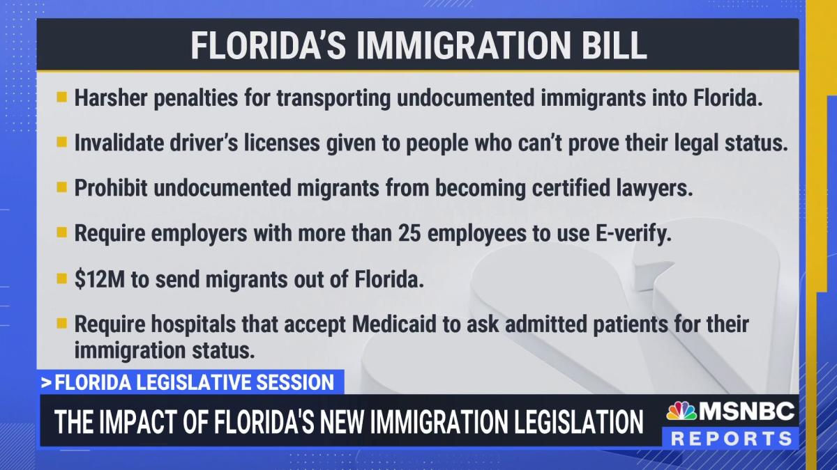 The impact of Florida's new immigration bill
