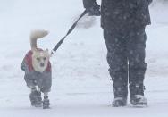 A man takes a walk with his dog during a snowstorm in Quebec City, December 15, 2013. Between 15 and 30cm of snow are expected to fall on the different regions of eastern Canada today according to Environment Canada. REUTERS/Mathieu Belanger (CANADA - Tags: ENVIRONMENT SOCIETY ANIMALS)