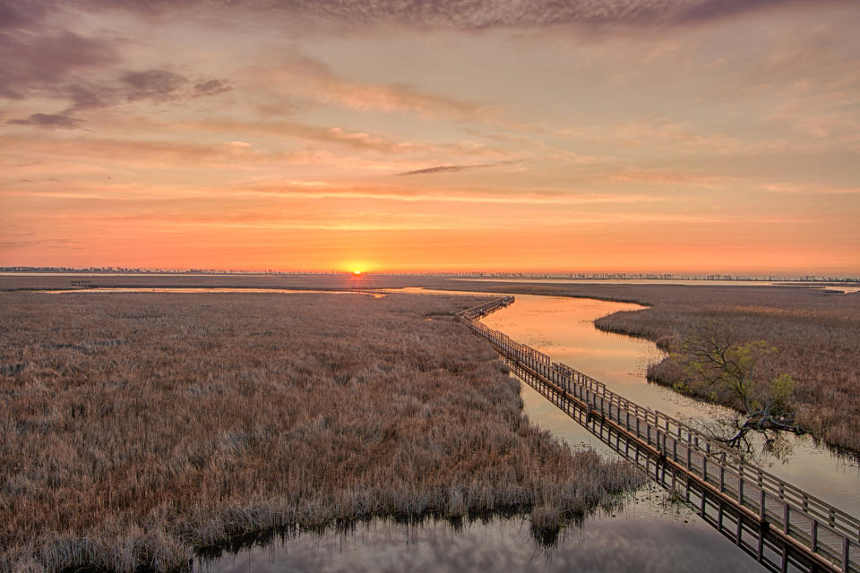 a walkway over a marshy wetland stretches toward a setting sun.