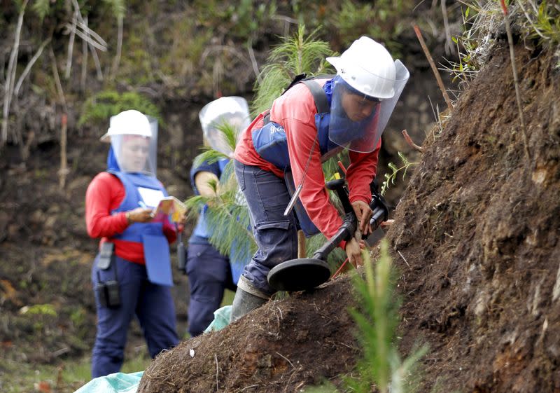 Arango works with her mine detector in a zone of landmines planted by rebels groups near Sonson in Antioquia province