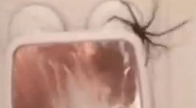 After it was sprayed with water, the massive spider scurried away. Source: YouTube