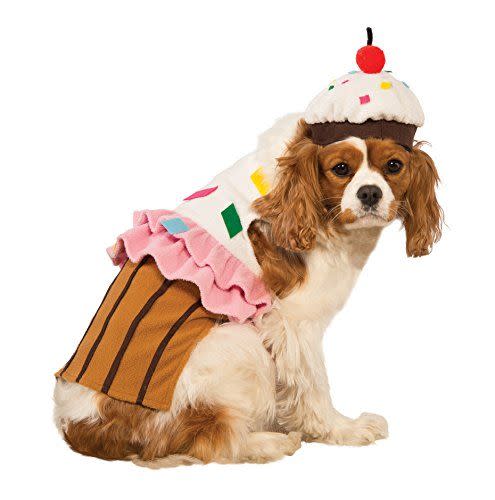 Cupcake Dog Costume