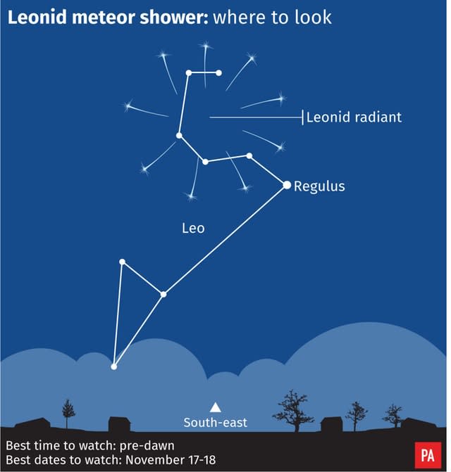 SCIENCE Leonids