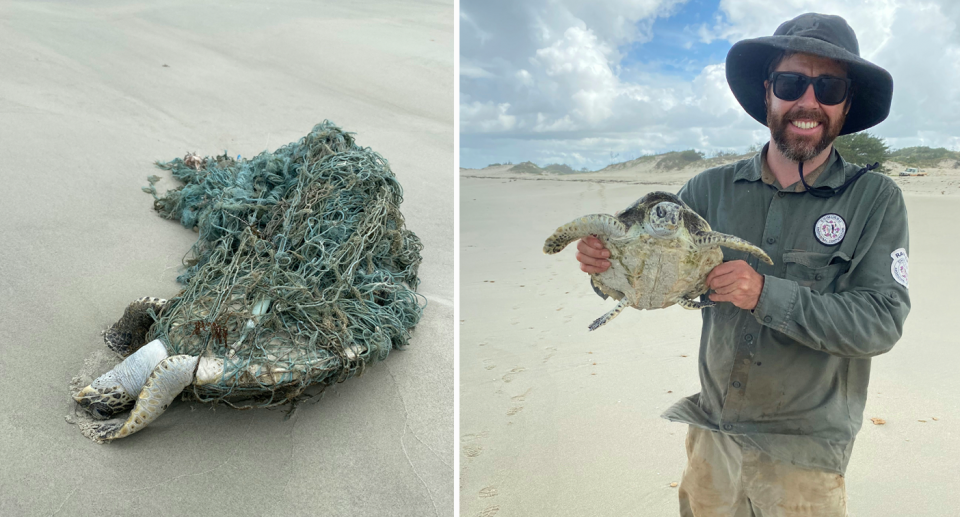 Dhimurru Ranger Paul Ellis showing a turtle that was rescued from tangled fishing nets. Source: Australian Marine Conservation Society