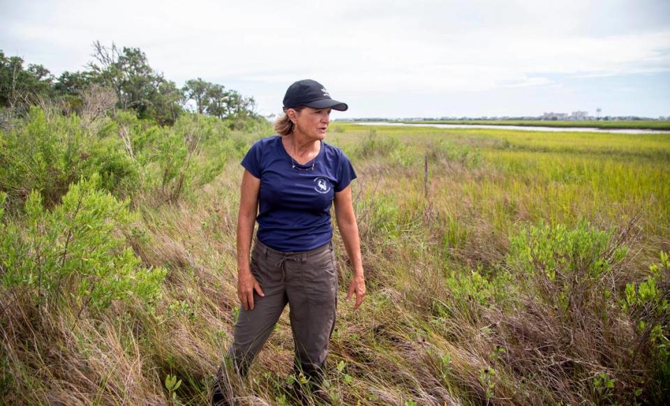 Tracy Skrabal, a scientist with the North Carolina Coastal Federation, tours a salt marsh in Wrightsville Beach, Wednesday, Aug 18, 2021. Salt marshes in North Carolina are being pushed back by rising sea waters, but aren’t always able to retreat due to coastal development, leaving them to shrink.