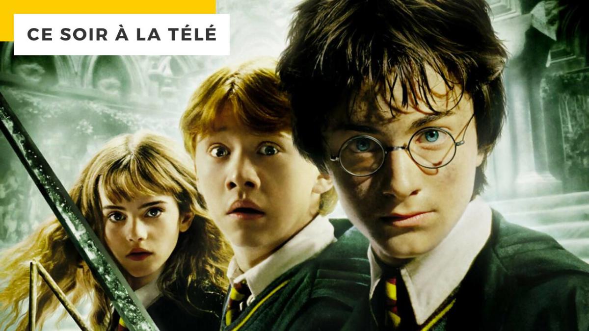 Harry Potter à l'école des sorciers - film 2001 - AlloCiné