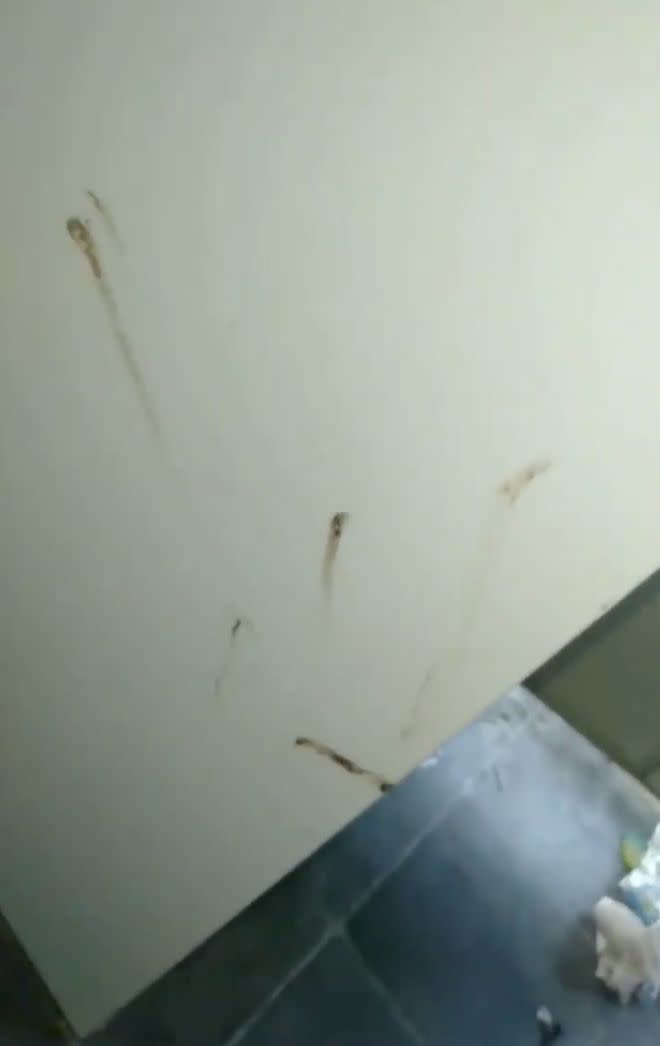 The daughter said the home was “infested with cockroaches” and faeces had been smeared across the walls and was smudged into the carpet. Source: Facebook/Jasmine Hrodwulf